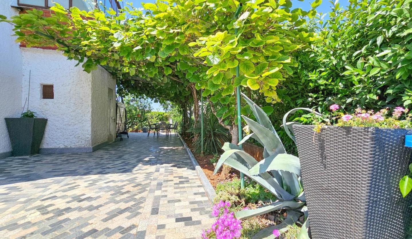Amelie Lägenhet Novigrad Istria Exteriör bild